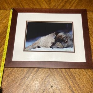 “Lights Out” Timber Wolf.  By Richard Jackson photography